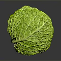 Fresh Green Cabbage With Textured Leafy Outer Layers On Dark Surface 3d model