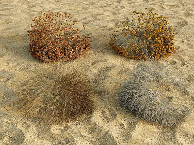 Dry Desert Bushes On Sandy Ground With Various Natural Colors 3d model