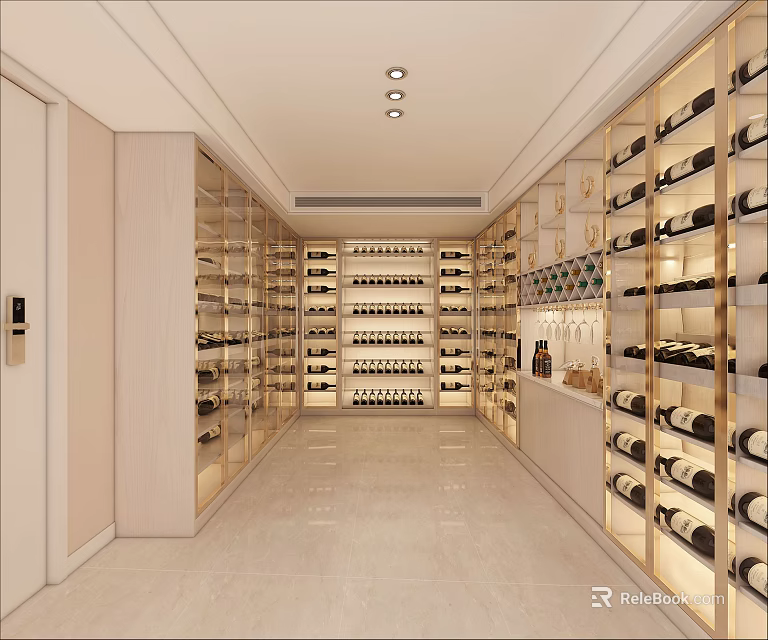 Modern Wine Cellar Interior Design With Multiple Wine Racks And Elegant Lighting 3d model 