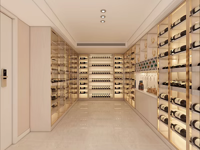 Modern Wine Cellar Interior Design With Multiple Wine Racks And Elegant Lighting 3d model
