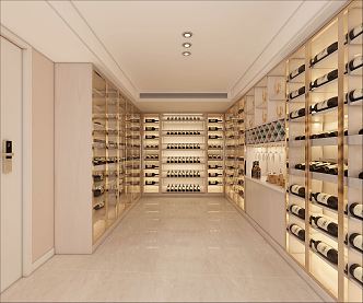 Modern Wine Cellar 3d model