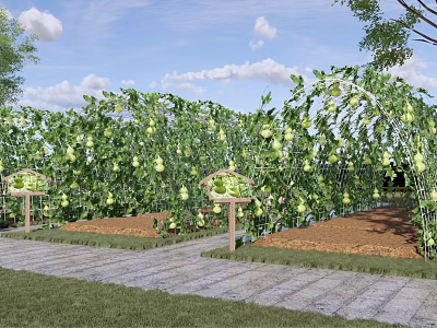 Rural Countryside Garden With Arch Trellis Melons And Stone Pathway 3d model