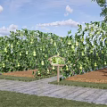 Rural Countryside Garden With Arch Trellis Melons And Stone Pathway