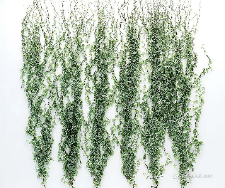 Green Artificial Vines Hanging As Decorative Plants 3d model 