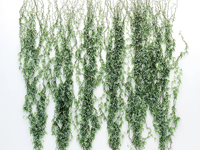 Green Artificial Vines Hanging As Decorative Plants 3d model