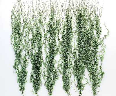 Green Artificial Vines Hanging As Decorative Plants 3d model