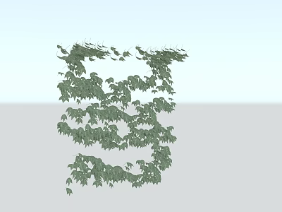 Lush Green Vines With Dense Foliage Growing Naturally On White Background 3d model
