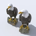 Two Bald Eagles Standing on Rocky Surfaces with White Heads and Yellow Talons