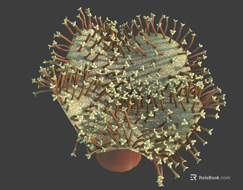 Colorful Sea Anemone Marine Creature With Long Tentacles And Brown Base 3d model