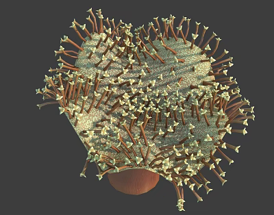 Modern Coral Coral Reef 3d model Modern Coral Coral Reef 3d model