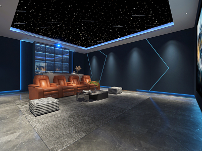 modern video room model