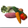 Fresh Organic Vegetables Including Radish Cucumber Onion Sweet Potato Carrot Tomato