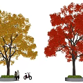 Chinese tallow tree big tree autumn and winter deciduous tree yellow tree red tree color tree main tree flowering tree point tree 3d model