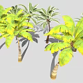 Green and Yellow Leafy Palm and Banana Trees with Light Colored Trunks in Gray Background