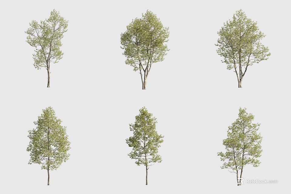 Arbor Trees With Different Forms Green Leaves And Single Double Trunks 3d model