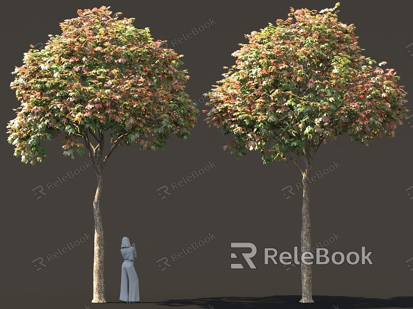 Buttonwood Maple Tree Autumn Greening Park Bird's View Tree Pool Street Trees model