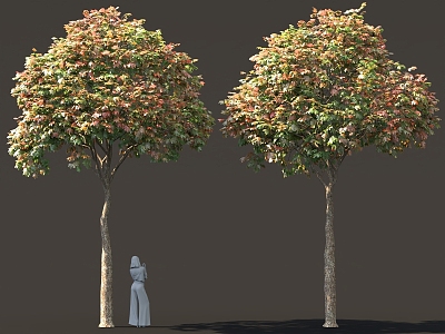 Buttonwood Maple Tree Autumn Greening Park Bird's View Tree Pool Street Trees 3d model