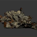 Textured Organic Organ Structure With Hair Like Fibers And Brown Gray Tones