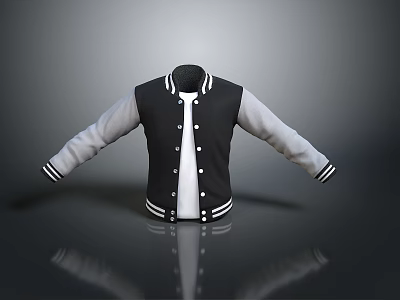 Black And White Baseball Style Jacket With Contrast Sleeves And Button Details 3d model