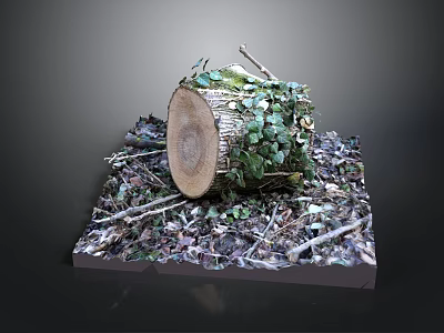 Natural Tree Stump Decor With Ivy Leaves Fallen Twigs And Wood Texture 3d model