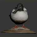 Taxidermy Duck with Colorful Feathers Black Head and Orange Feet on Wooden Base