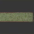 Different Sizes Pine Trees Growing On Green Grass With Red Border Base