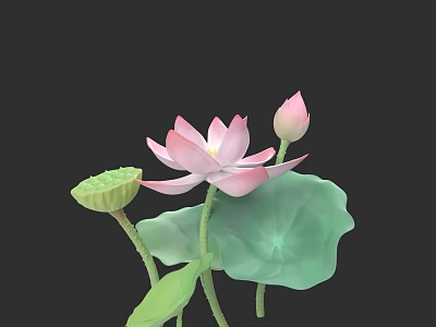Fresh Pink Blooming Lotus Flower With Bud Green Leaf And Seed Pod 3d model