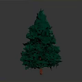 Green Conical Tree with Dense Leaves on Dark Background and Orange Base