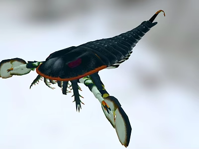 Ancient Sea Creature With Black Body Orange Markings Large Claws And Spiked Tail 3d model