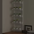 Indoor Succulent Plants Arranged On White Multi Tiered Shelf With Various Pots