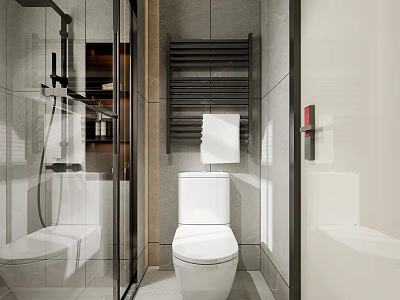 Modern Bathroom Interior With Glass Shower Enclosure Tiled Walls And White Toilet 3d model