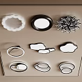 Modern Ceiling Lights with Circular Petal and Cloud Shapes in Black and White 3d model
