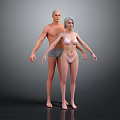 3D Rendered Male And Female Figures In Underwear Standing Together