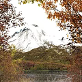 Garden Landscape With Snowy Mountain And Autumn Trees Under Clear Blue Sky
