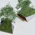Trees Shrubs Landscape Trees Street Trees Courtyard Trees Beech Trees Beech Trees 3d model