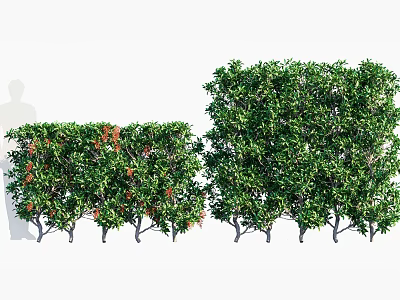 Pruned Arbor With Green Foliage And Red Accents For Garden Landscape Design 3d model