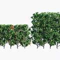 Pruned Arbor With Green Foliage And Red Accents For Garden Landscape Design