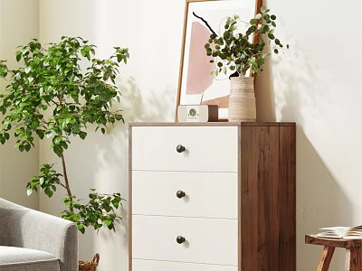 Cozy Modern Chest of Drawers With Green Plant Framed Art And Vase In Home Interior 3d model