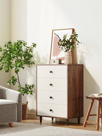 Cozy Modern Chest of Drawers With Green Plant Framed Art And Vase In Home Interior 3d model