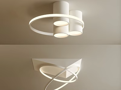 Modern Ceiling Lights With Unique Circular Designs 3d model