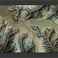 3D Terrain Model With Mountain Ranges Green Vegetation And River Paths