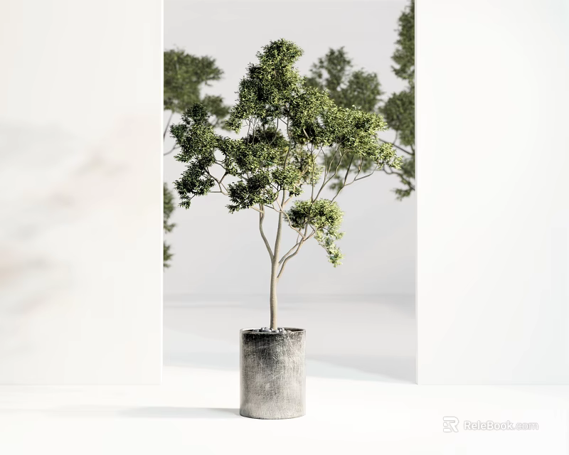 Bonsai Potted Plant With Green Leaves In Gray Cylindrical Pot For Interior Decor 3d model 