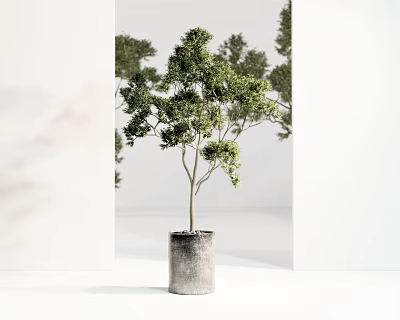 Bonsai Potted Plant With Green Leaves In Gray Cylindrical Pot For Interior Decor 3d model