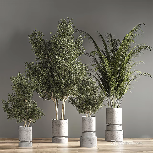 Bonsai Potted Plants With Olive Trees And Palm In Modern Concrete Pots 3d model 