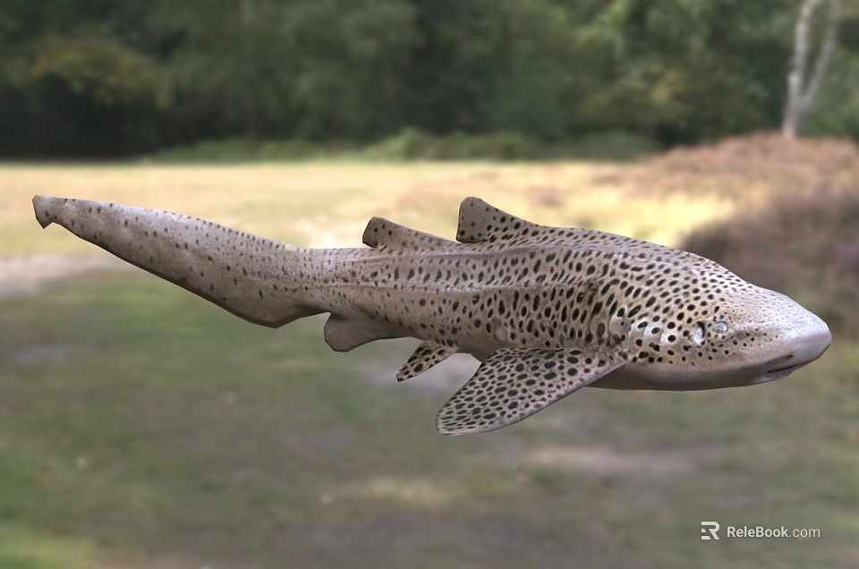 Spotted Leopard Shark Swimming Gracefully in Wild Natural Aquatic Habitat 3d model 