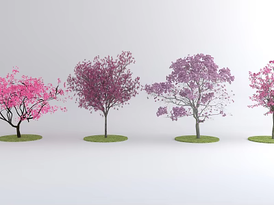 Colorful Flowering Trees With Pink And Purple Blossoms In A Row 3d model