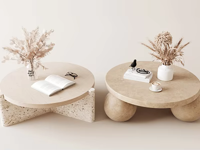 Modern Stone Coffee Tables With Geometric Spherical Bases Open Book Glasses Dried Flowers Radio Cup 3d model