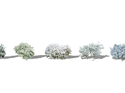 Different Types of Ground Cover Plants for Garden Landscaping Design 3d model