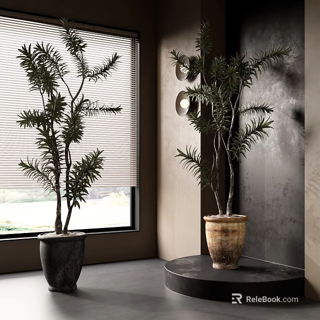 Stylish Bonsai Potted Plants By Window With Gray Wall And Table Decor 3d model 