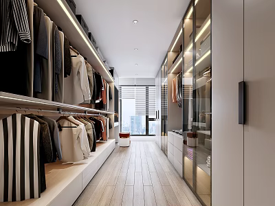 Modern Walk in Closet Interior Design With Hanging Clothes Shelves Glass Doors And Wooden Flooring 3d model